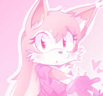 Pinku The Fennec (Sonic Franchise)